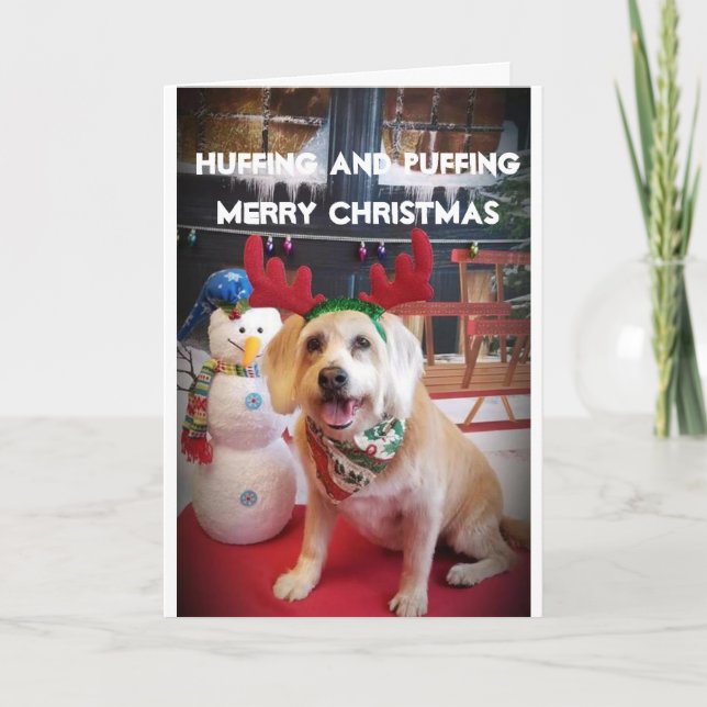 PUPPY LOVE NAUGHTY OR NICE AT CHRISTMAS HOLIDAY CARD (Front)