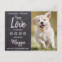 Puppy Love New Pet Dog