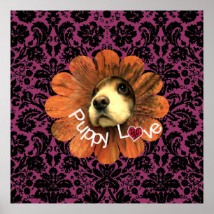 Puppy Love Poster