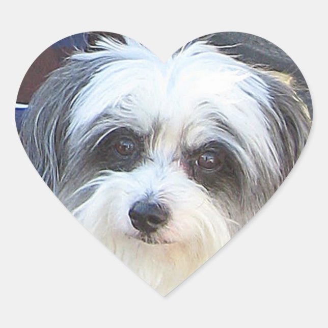 Puppy Love Sticker (Front)