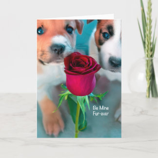 Puppy Love Thank You Card