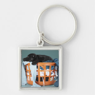 Puppy lying in laundry basket key ring