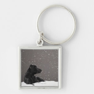 Puppy lying in snow watching snowflakes key ring