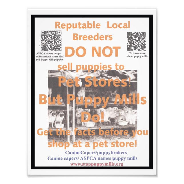 Puppy Mill Awareness Poster (Front)