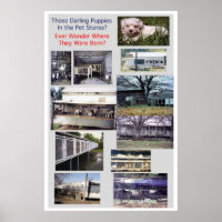 Puppy Mills Breed Misery Poster