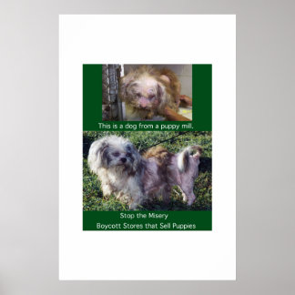 Puppy Mills Breed Misery Poster