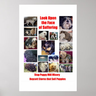 Puppy Mills Breed Misery Poster