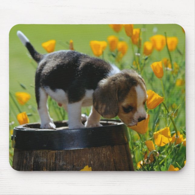 puppy mouse pad (Front)