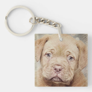 Puppy, Nature, Dog Key Ring