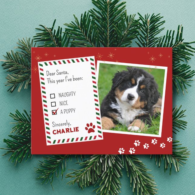 Puppy Naughty or Nice Christmas Greeting Card (Creator Uploaded)
