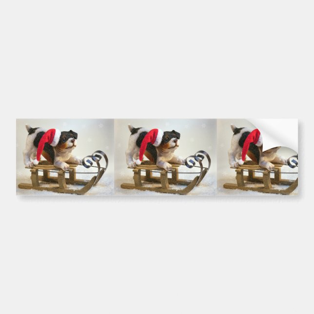 Puppy on a Sled Bumper Sticker (Front)