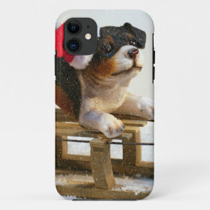 Puppy on a Sled iPhone 11 Case