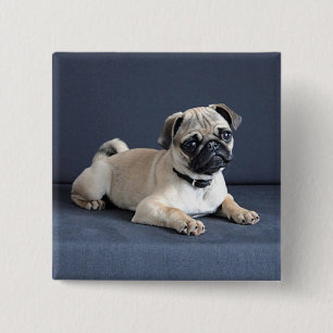 Puppy On Lounging Couch 15 Cm Square Badge