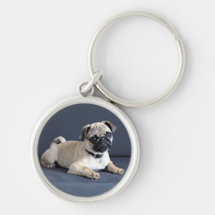 Puppy On Lounging Couch Key Ring
