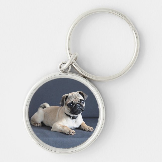 Puppy On Lounging Couch Key Ring (Front)