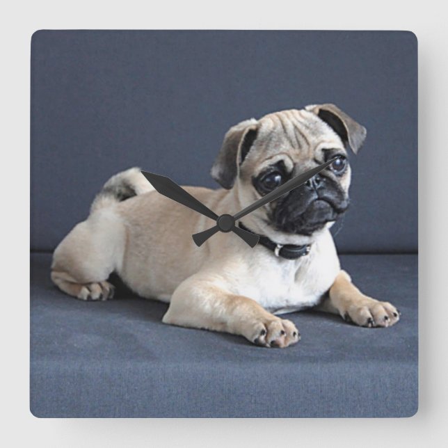 Puppy On Lounging Couch Square Wall Clock (Front)
