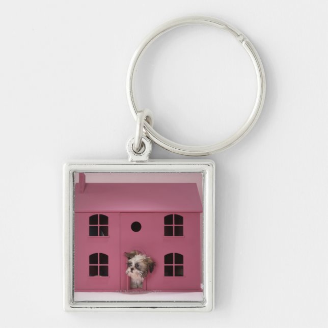 Puppy peering out of doll's house key ring (Front)