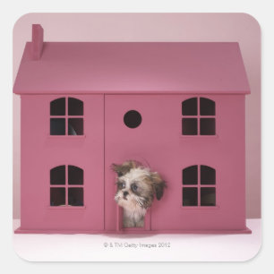 Puppy peering out of doll's house square sticker