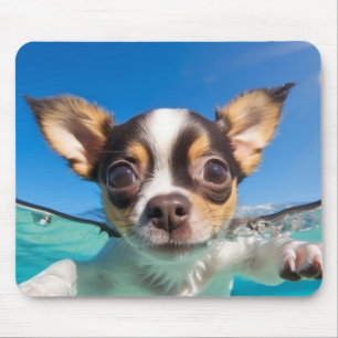Puppy Pet Dog Animal Fun Playing Water  Mouse Pad