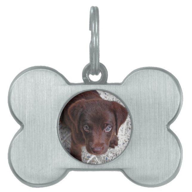 Puppy Pet ID Tag (Front)