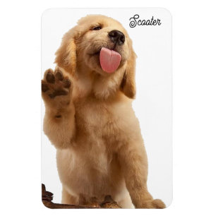 Puppy Photo Add Name 4 x 6 Refrigerator Magnet