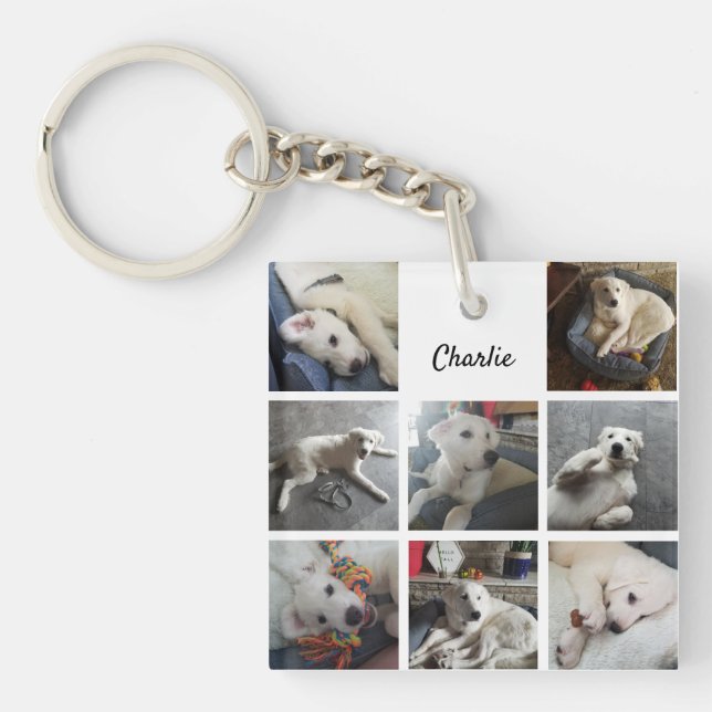 Puppy Photo Collage Cute Dog or Pet Key Ring (Front)