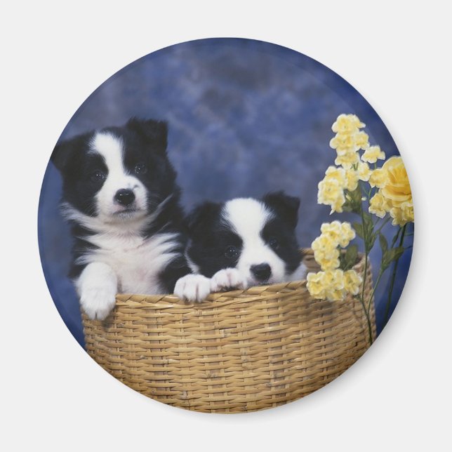 Puppy Picture Magnet (Front)