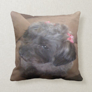 puppy pillow