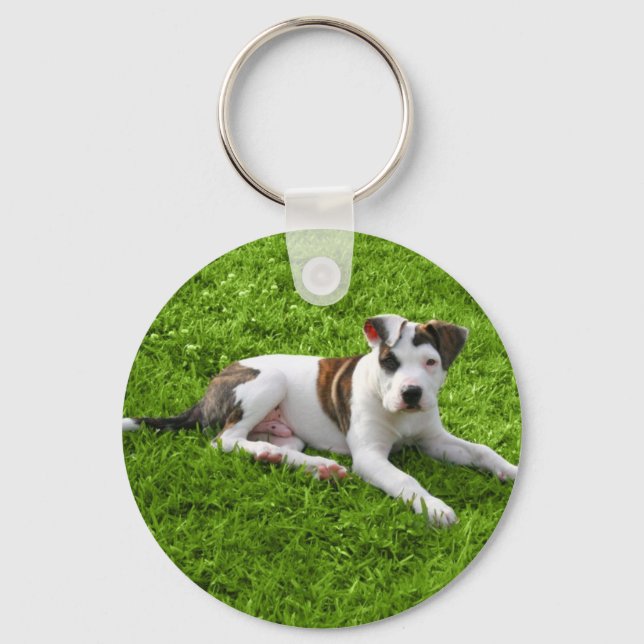 Puppy Pit Bull T-Bone Key Ring (Front)