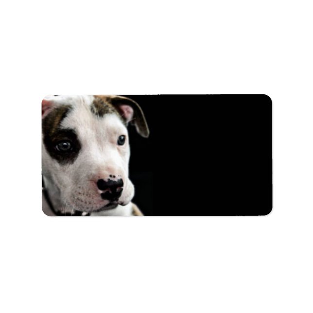 Puppy Pit Bull T-Bone Label (Front)