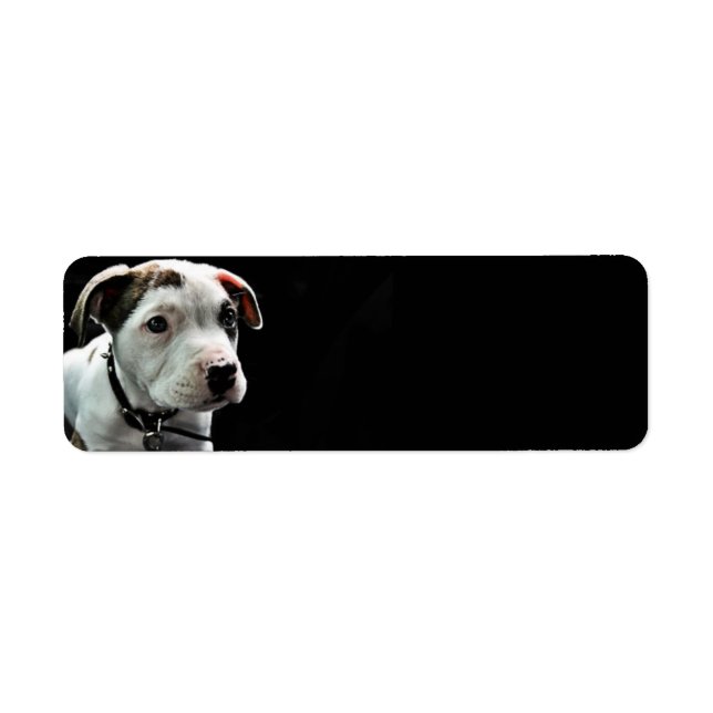 Puppy Pit Bull T-Bone Return Address Label (Front)