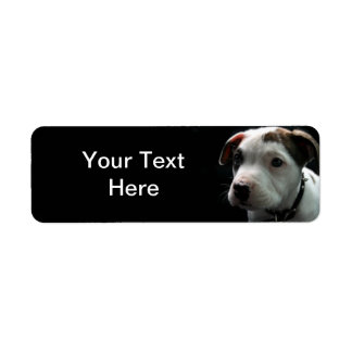 Puppy Pit Bull T-Bone Return Address Label