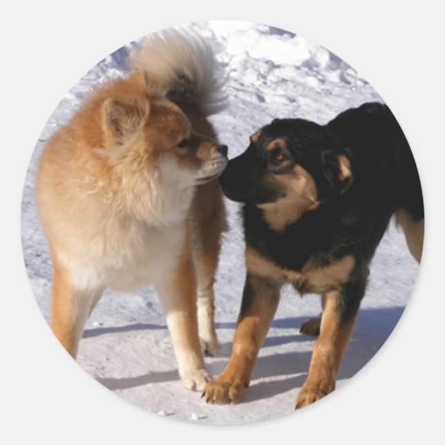 Puppy play Envelope seals (Front)