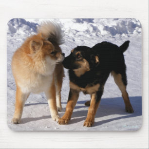 Puppy play mouse pad