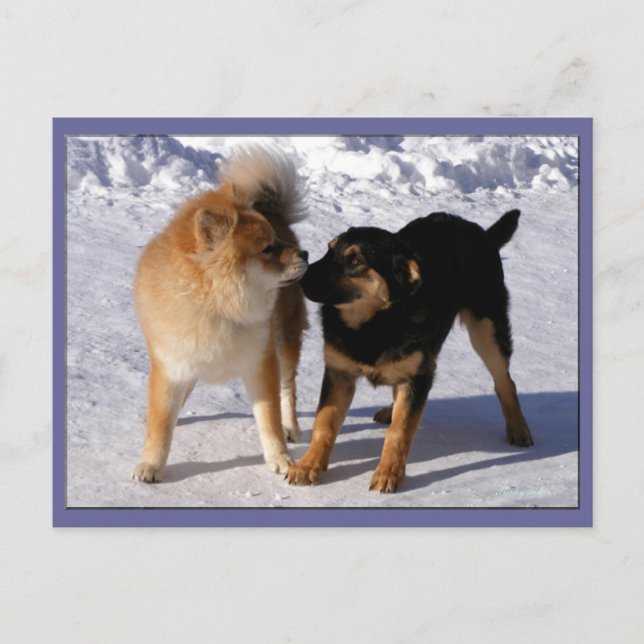 Puppy play Postcards (Front)