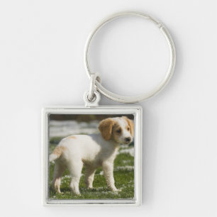 Puppy playing in the snow key ring