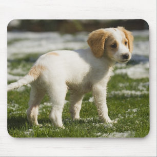Puppy playing in the snow mouse pad