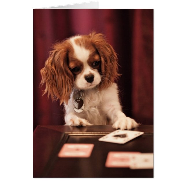 Puppy Plays Cards (Front)