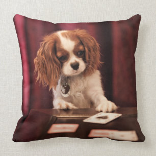Puppy Plays Cards Cushion