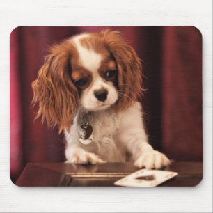 Puppy Plays Cards Mouse Pad