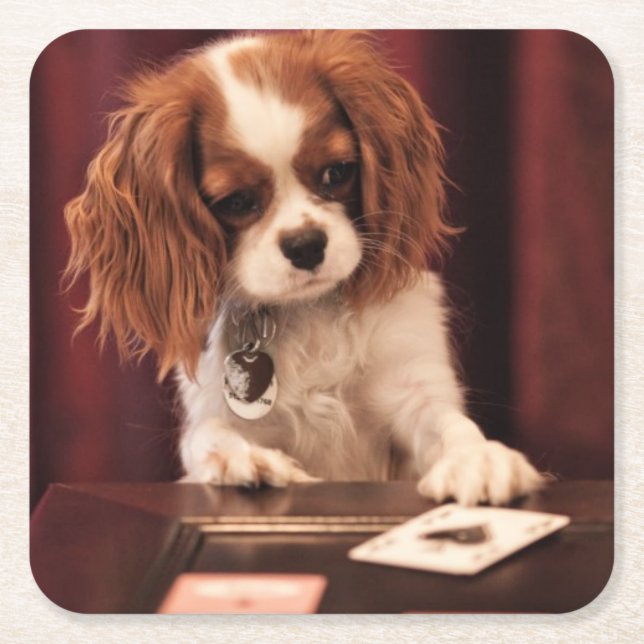 Puppy Plays Cards Square Paper Coaster (Front)