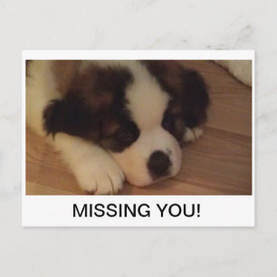 Puppy Postcard