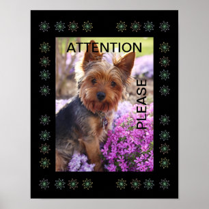 Puppy Poster
