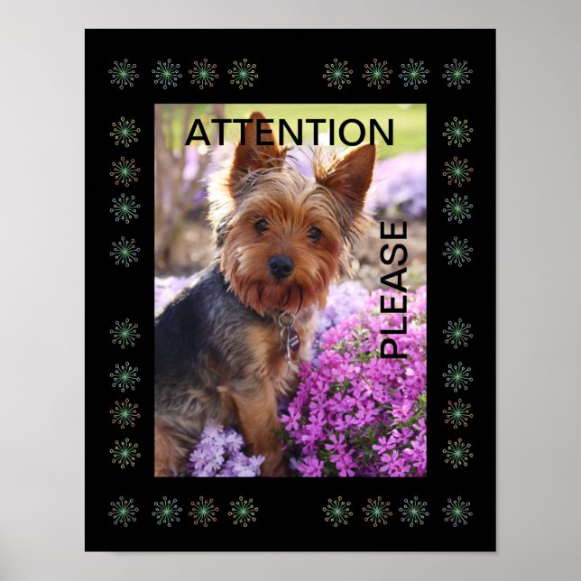 Puppy Poster (Front)