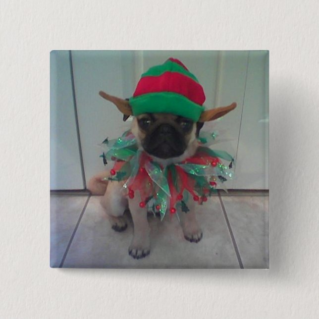 Puppy Pug Elf square button, pin (Front)