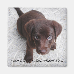 Puppy Quote Magnet