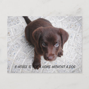 Puppy Quote Postcard