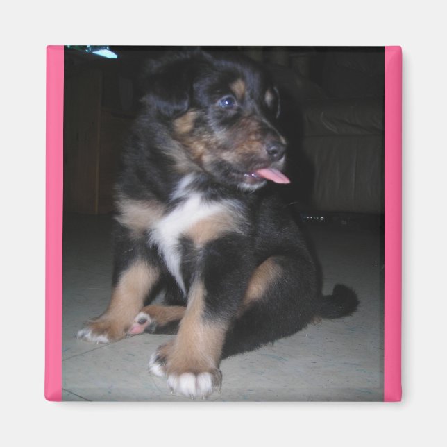 Puppy raspberry magnet (Front)