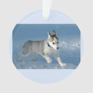 Puppy running in the snow ornament
