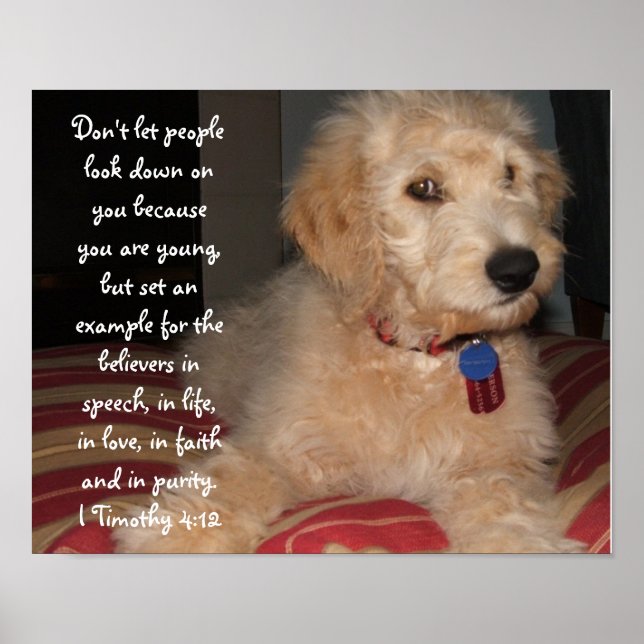 Puppy Sam Poster (Front)